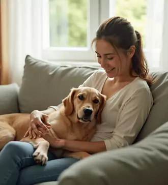 4 steps to obtain your emotional support animal michigan letter