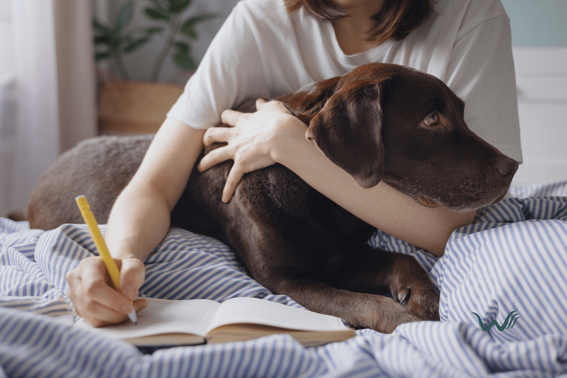 5 simple steps to get your legitimate esa letter online