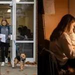 student health center vs. online esa letter