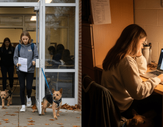 student health center vs. online esa letter