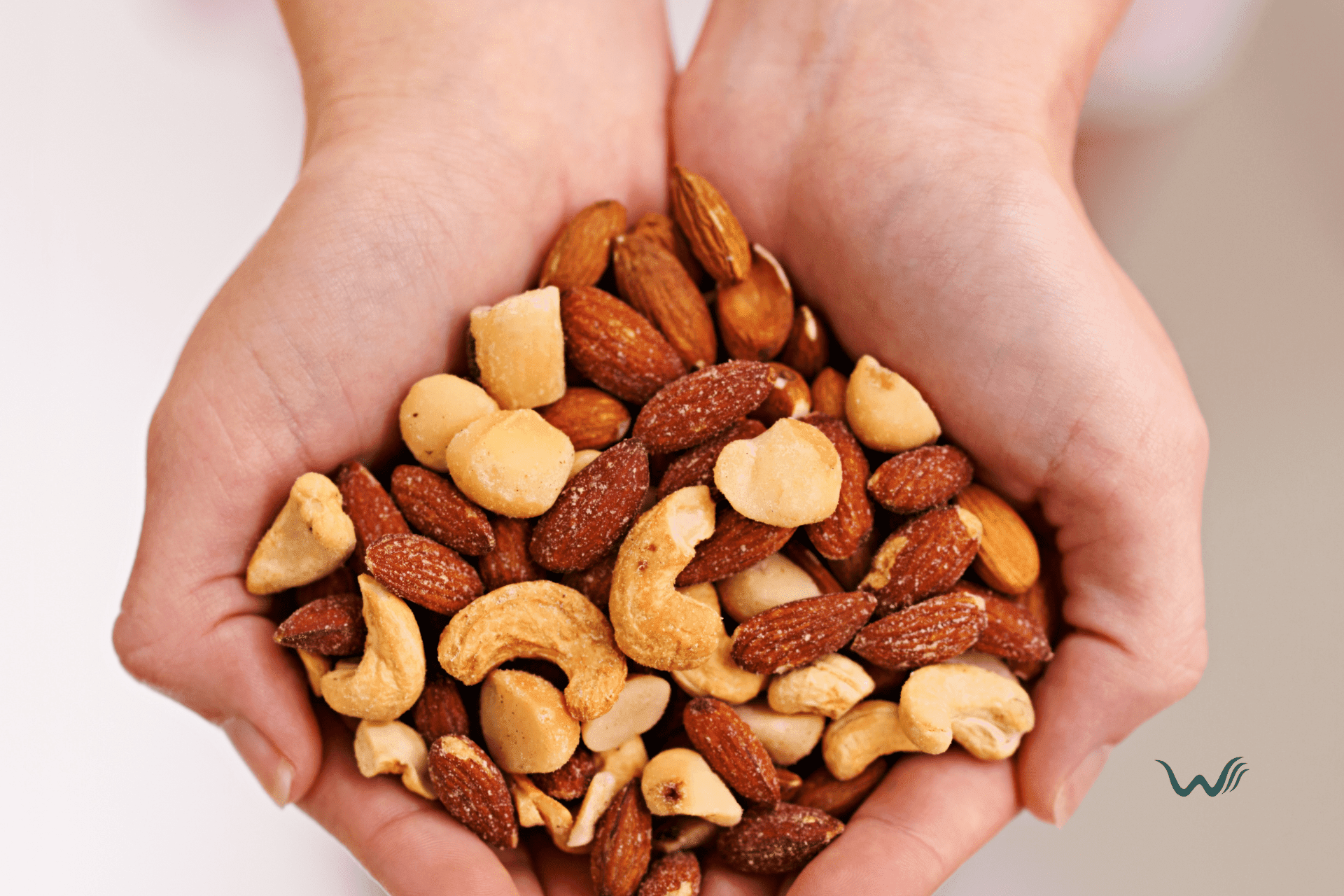 7 nuts your dog can safely eat