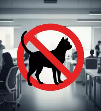 ada vs fha why esas aren't allowed in workplaces and what your esa letter actually covers