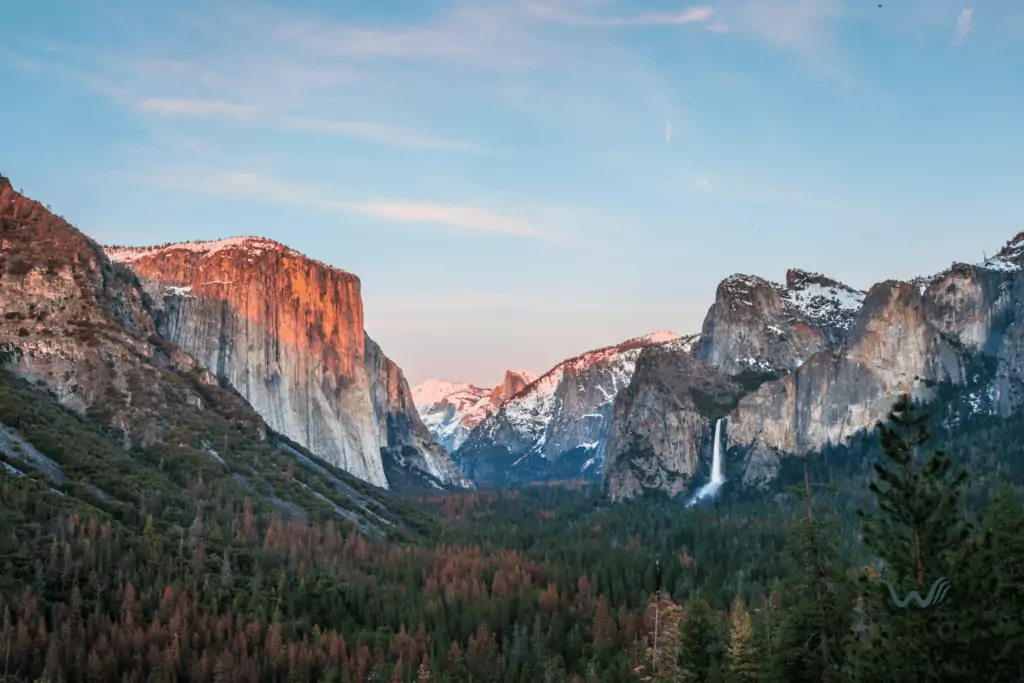 are dogs allowed in yosemite state park