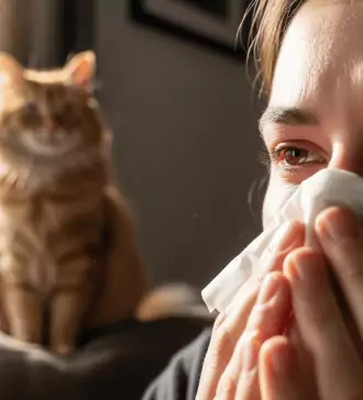 best hypoallergenic cat breeds for allergy sufferers