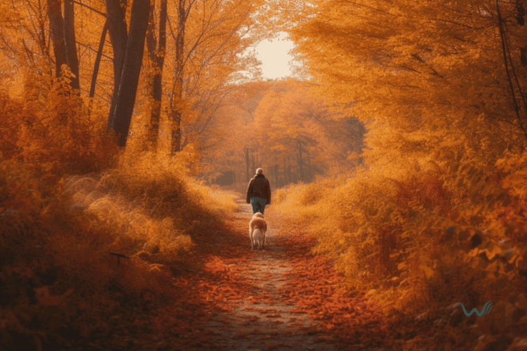 Best Places To Hike In Autumn With Your Dog