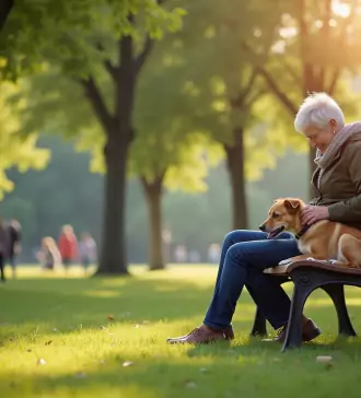 california emotional support animal laws your essential guide