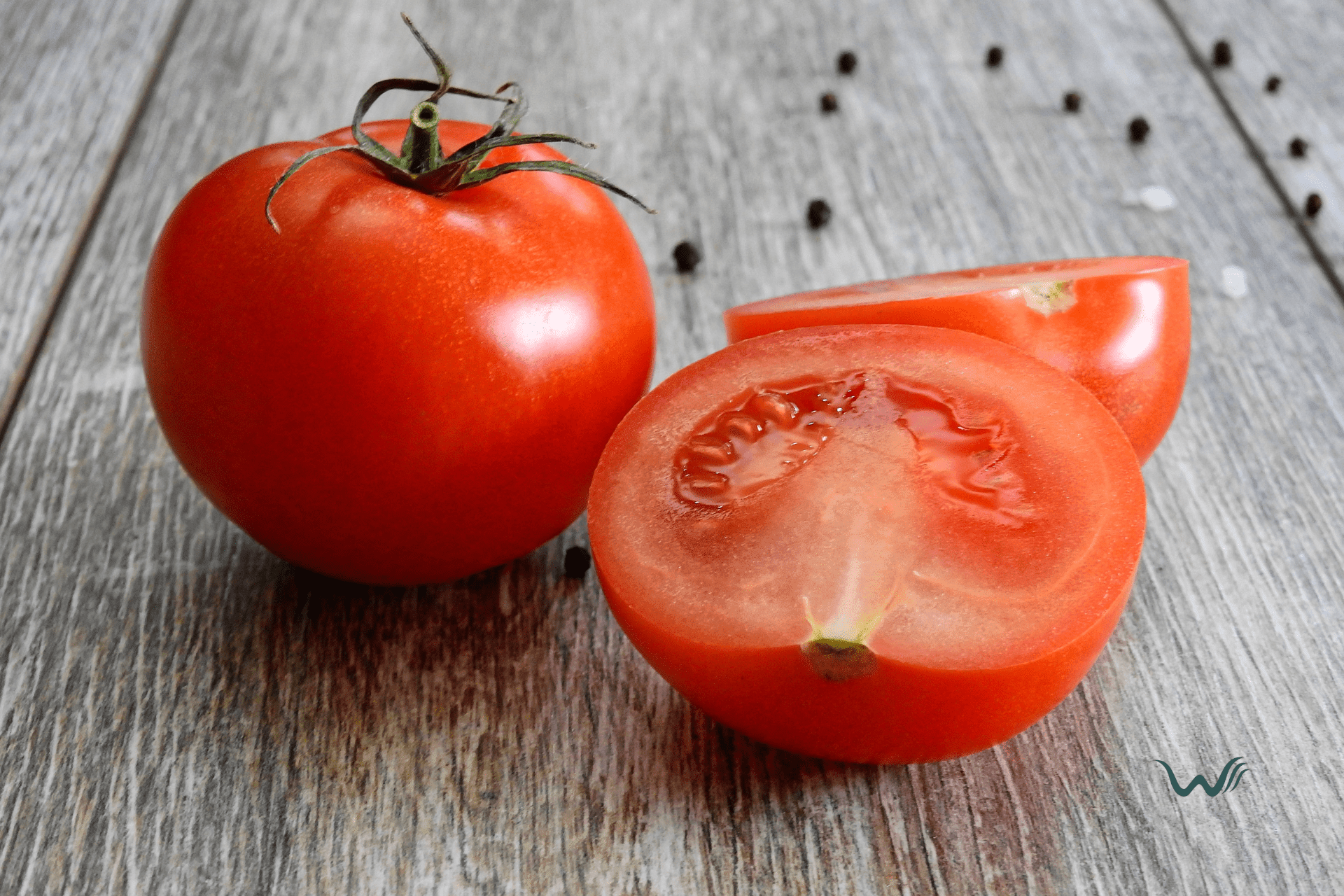 can dogs eat tomatoes