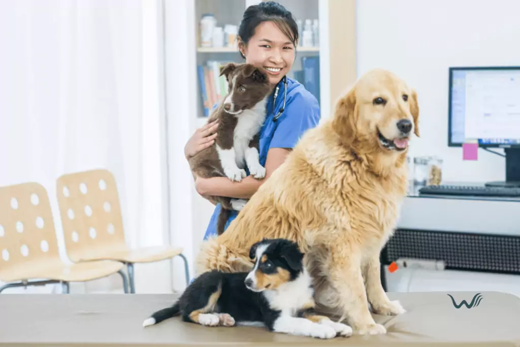 can i use clindamycin for dogs