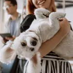 can you have an esa in college dorms how to get an esa letter