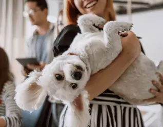 can you have an esa in college dorms how to get an esa letter