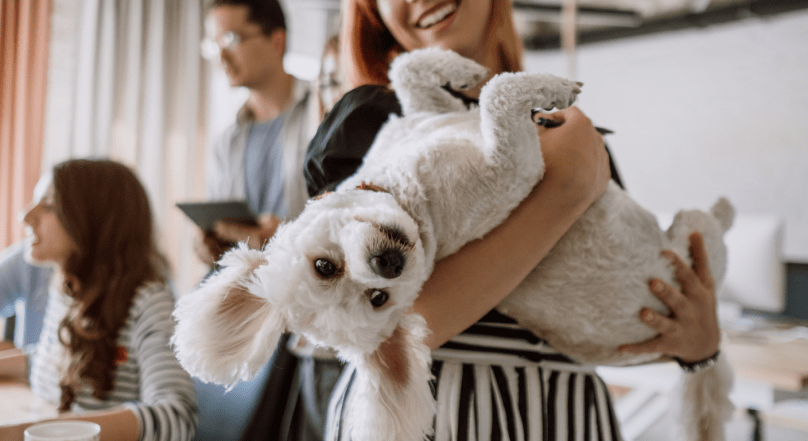 can you have an esa in college dorms how to get an esa letter