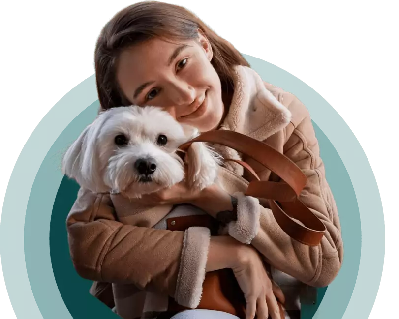 college pet hearo image