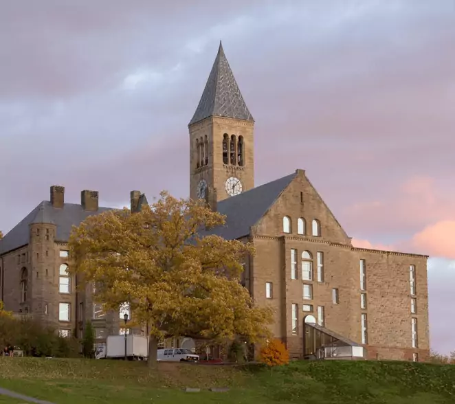 cornell university