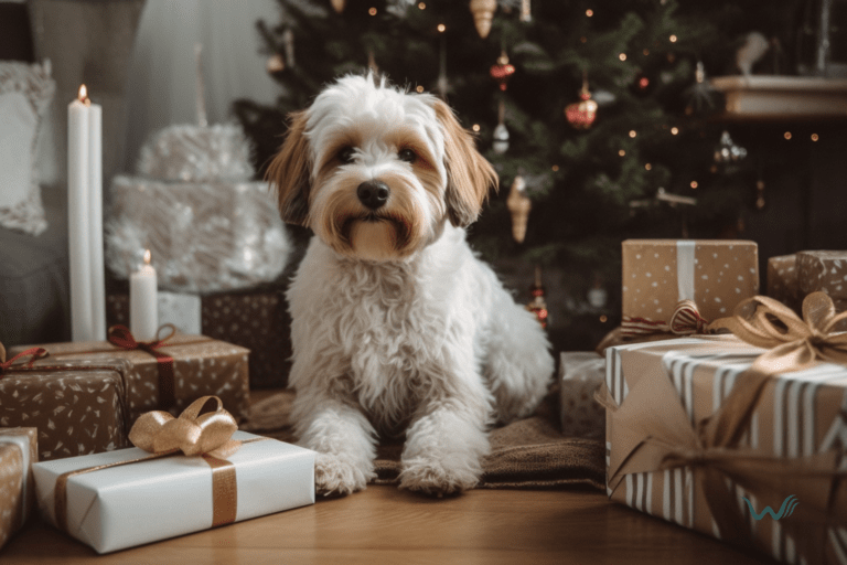 Cyber Monday Delights: Paw-some Pet Gifts Under 