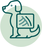 dog with x ray icon