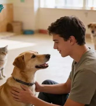 emotional support animal adoption process how to choose the right esa