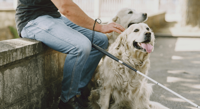 esa letter doctor complete guide to getting an emotional support animal letter