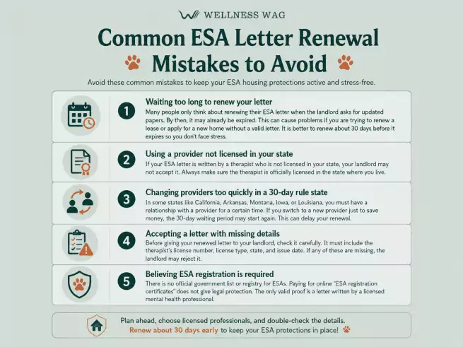 guide to esa letter renewal mistakes