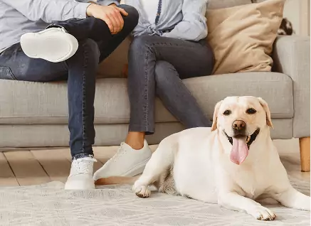 happy dog with owners