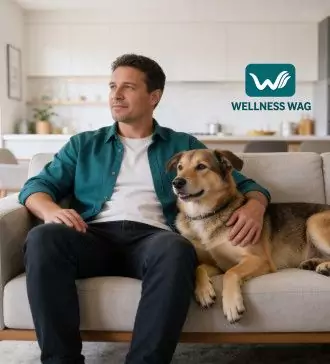 how emotional support animals can help with ptsd