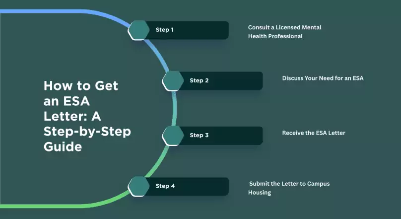 how to get an esa letter a step by step guide