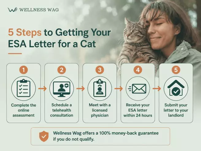 how to get an esa letter for your emotional support cat step by step