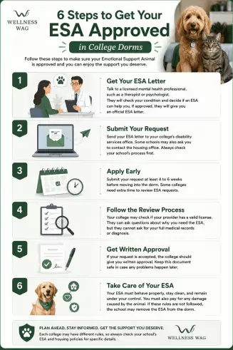 how to get your esa letter approved in a college dorm step by step