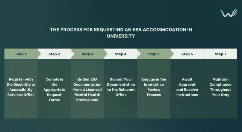 how to request esa accommodation from university a step by step guide