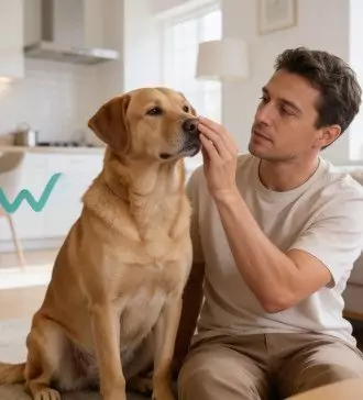 identifying dog allergy symptoms
