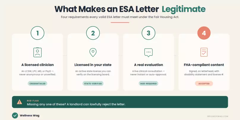 infographic legitimate horizontal