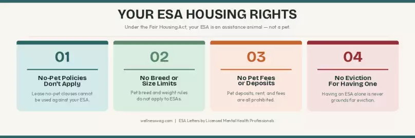 infographic 1 ESA housing rights
