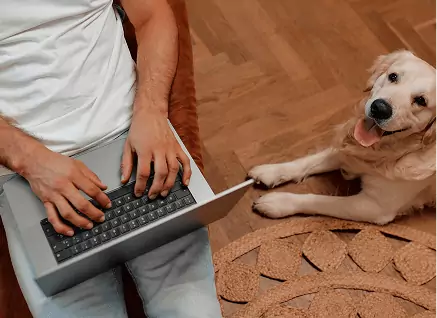 laptop and dog