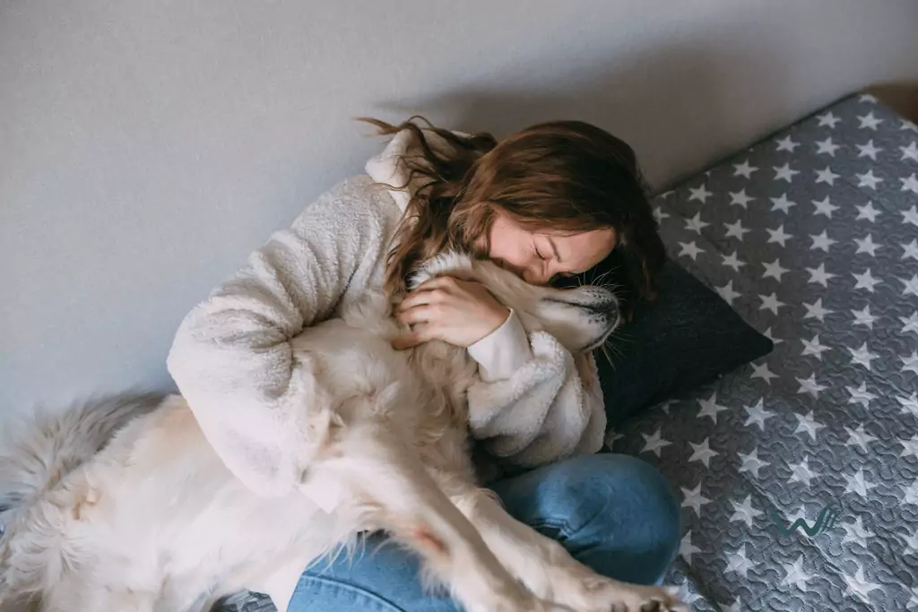 legitimate emotional support animal certification how to avoid esa letter scams