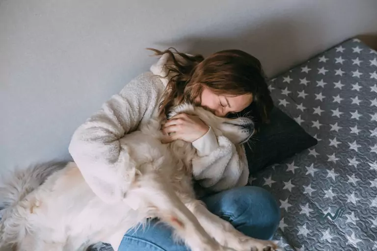 legitimate emotional support animal certification how to avoid esa letter scams
