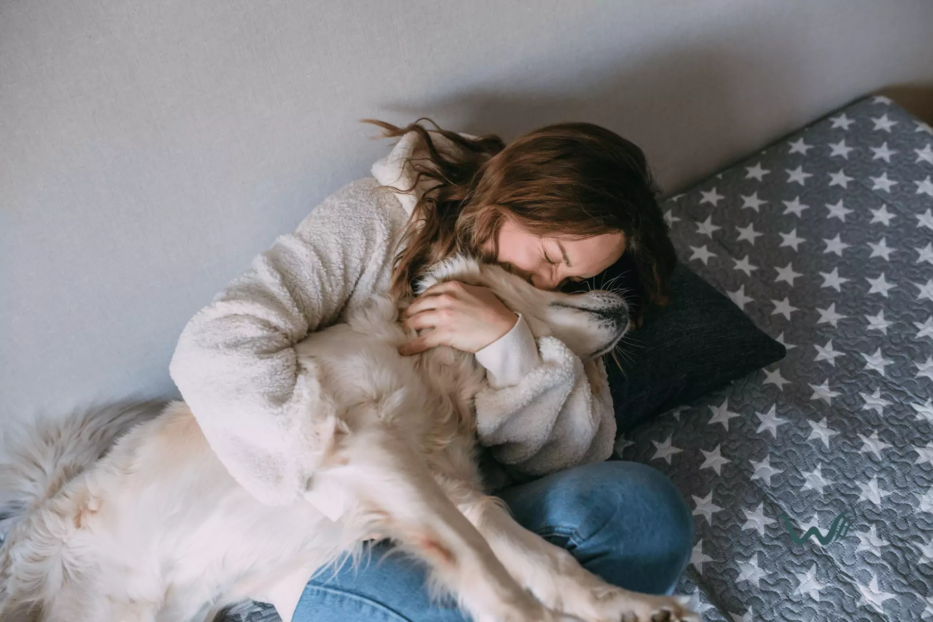 legitimate emotional support animal certification how to avoid esa letter scams