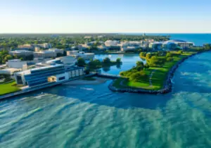 northwestern university