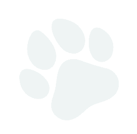 paw print teal lg