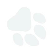 pawprint down leftt