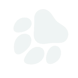 pawprint up right lg