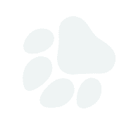 pawprint up right