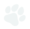 pet foot left image