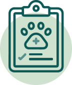 pet health report icon