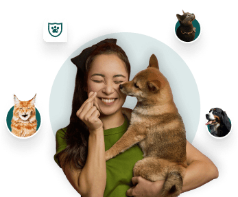 pet ins hero image sm