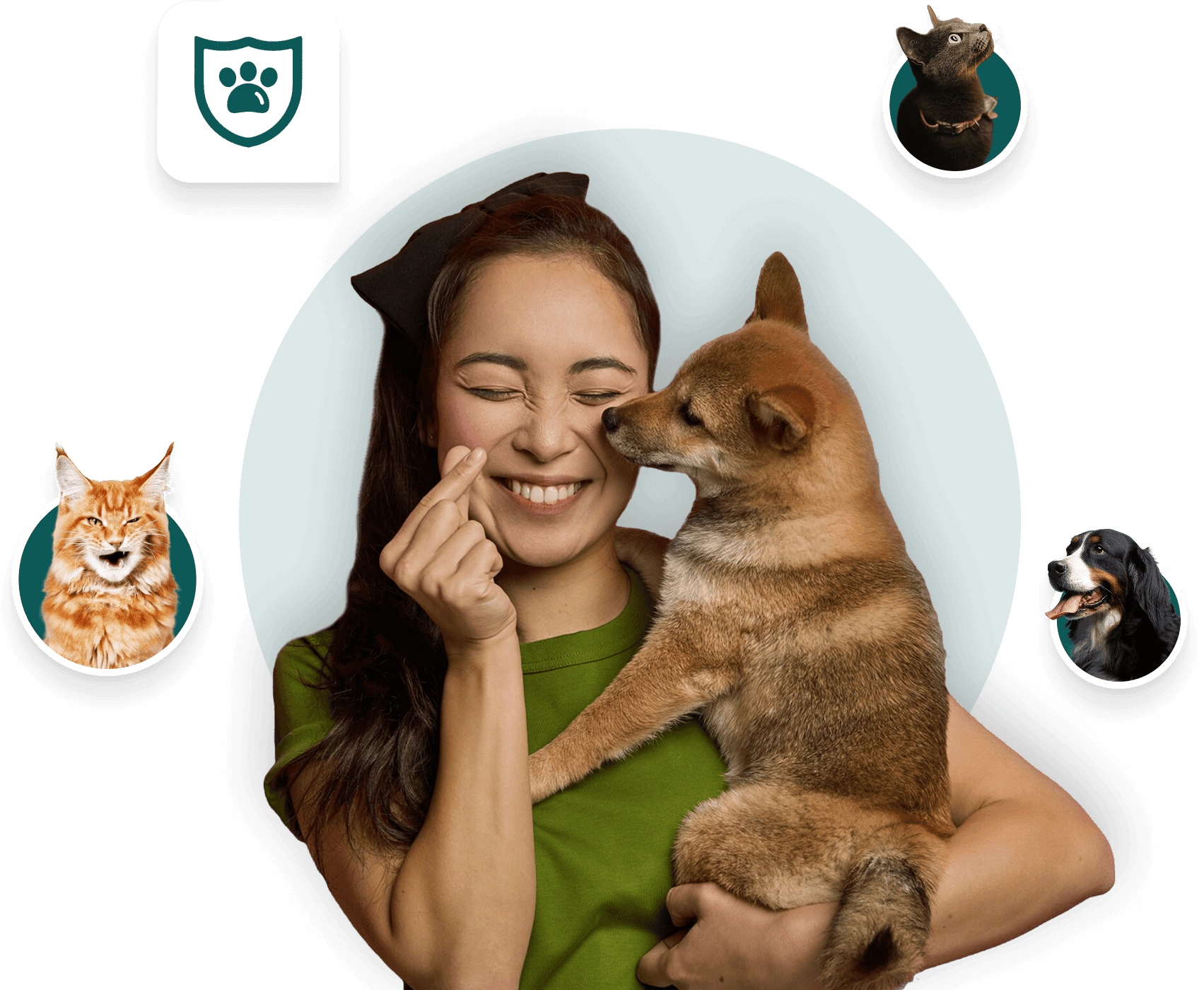 pet ins hero image