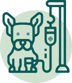 pet treatment icon