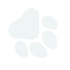 pet paw graphic