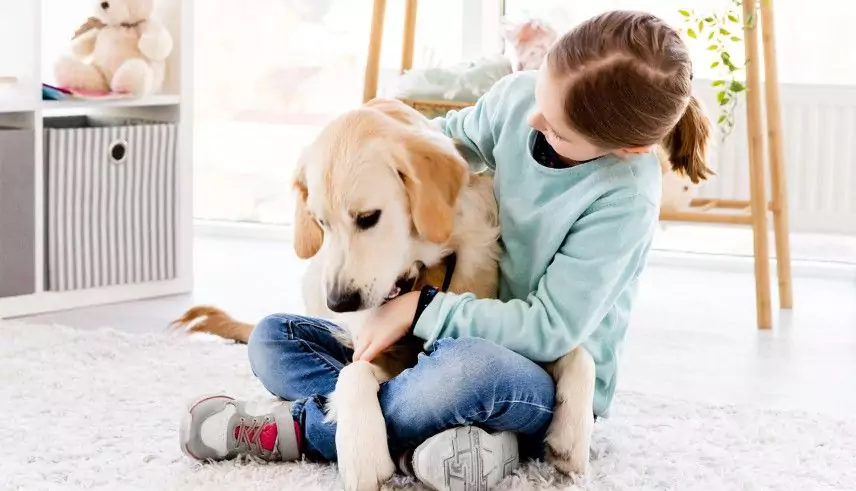 pretty little girl holding cute dog