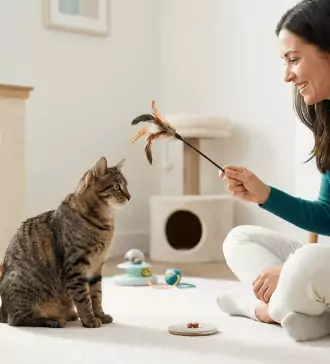 proven techniques to improve cat behavior