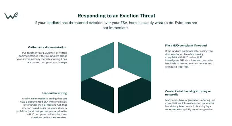 response to landlord threatens eviction over your esa letter