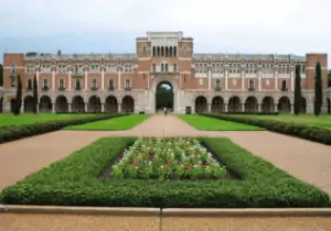 rice university (3)